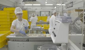Industrie - Reformy na běžícím pásu (9/12)