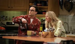 The Big Bang Theory IV (15/24)