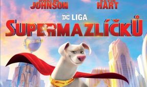 DC Liga supermazlíčků