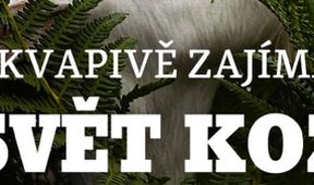 Překvapivě zajímavý svět koz