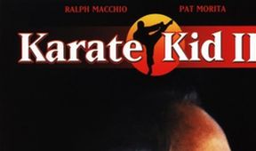 Karate Kid 2