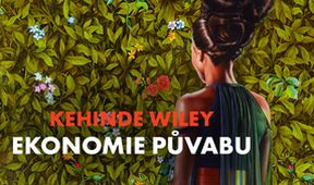 Kehinde Wiley: ekonomie půvabu