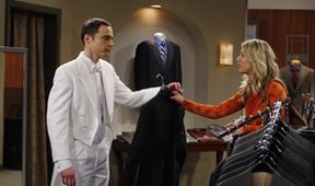 The Big Bang Theory XI (16/24)
