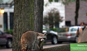 Na jachtě kolem New Yorku (2)