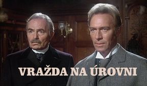 Vražda na úrovni