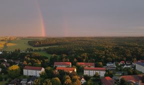 O datlech a dutinách