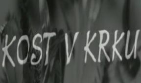 Kost v krku