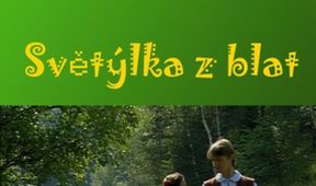 Světýlka z blat
