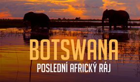 Botswana - poslední africký ráj