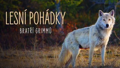 Lesní pohádky bratří Grimmů