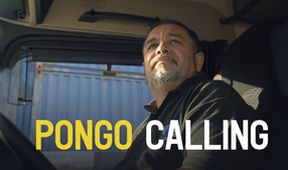 Pongo Calling
