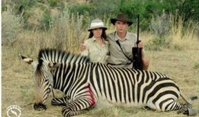 Safari