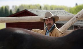 Ranč Heartland II (13/18)