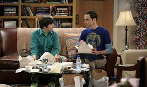 The Big Bang Theory III (13/23)