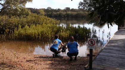 Záchranáři divokých zvířat: Austrálie (5)