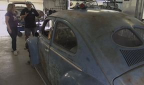 Američtí sběratelé XII (25)
