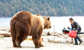 Grizzly zabiják