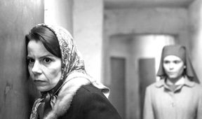 Ida