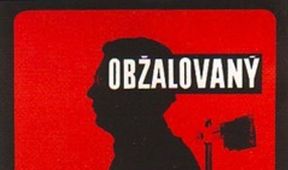 Obžalovaný