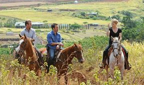 Hawaii Five-O (7/24)