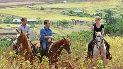 Hawaii Five-O (7/24)