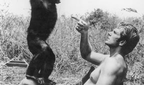 Tarzan - k pramenům legendy