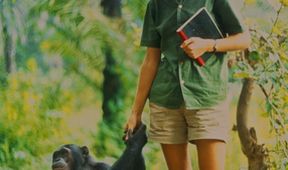 Jane Goodallová - životní příběh