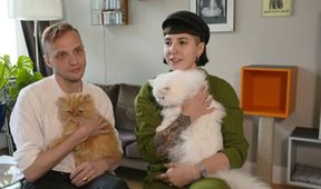Wenn keiner guckt - Das geheimnisvolle Leben unserer Katzen