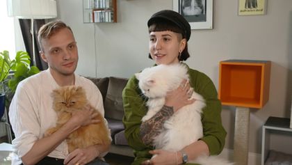 Wenn keiner guckt - Das geheimnisvolle Leben unserer Katzen