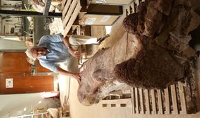 David Attenborough a obří dinosaurus