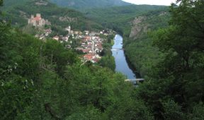 Divočina bez hranic