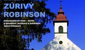 Malý zúrivý Robinson