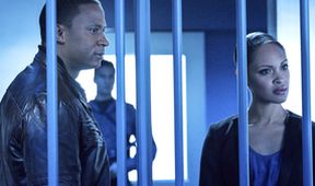 Arrow IV (11)
