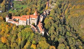 Příběhy zahrad
