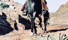 Valdezovi koně