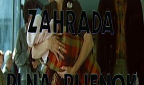 Záhrada plná plienok
