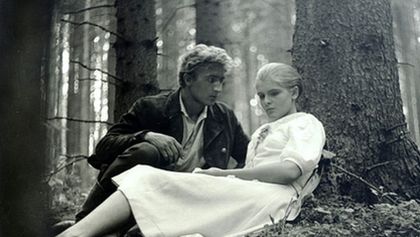 Tri gaštanové kone