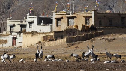 Divoká Čína: Tibet