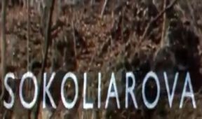 Sokoliarova dcéra