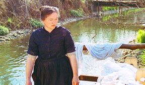 Strom na dřeváky