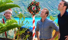 Hawaii 5-0 V (9)
