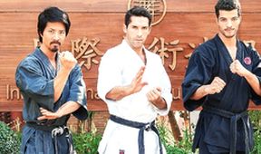 Ninja 2: Pomsta