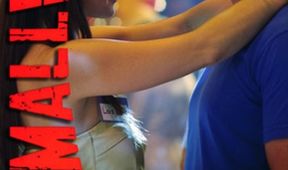 Smallville VIII (14/22)