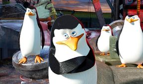 Madagaskar 3