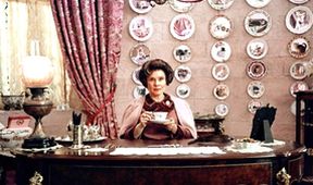 Harry Potter a Fénixův řád