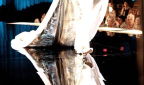 Liberace!