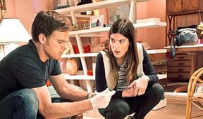 Dexter VIII (8)
