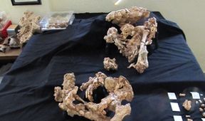 Odkaz neandertálců