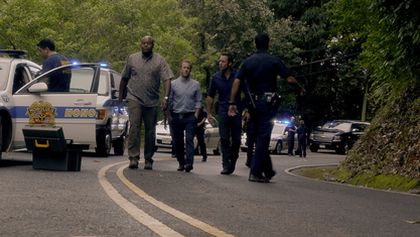 Hawaii 5-0 V (24)