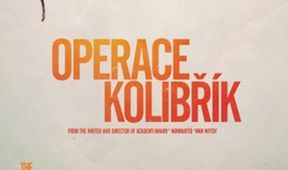 Operace kolibřík